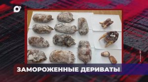 В порядке! / Конфискованный БПЛА / Находка в Находке / Замороженные дериваты / 03.10.25