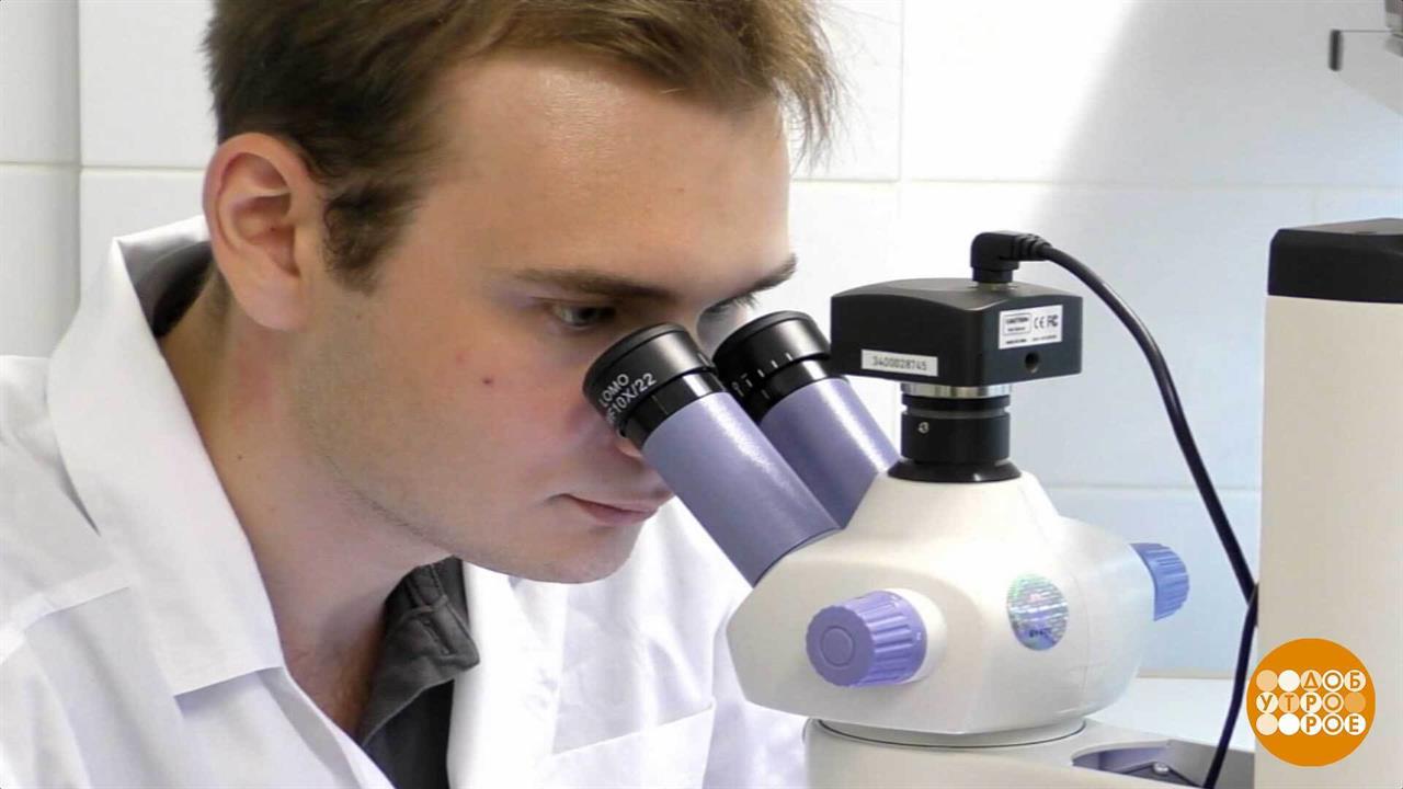 Микропластик повсюду! И что? Доброе утро. Фрагмент выпуска от 03.10.2025