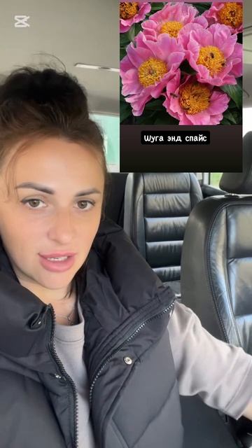 Рассспаковка пионов смотреть онлайн