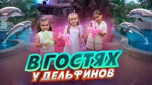 В ГОСТЯХ У ДЕЛЬФИНОВ