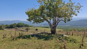 Кровать под потолком. Обед на костре.