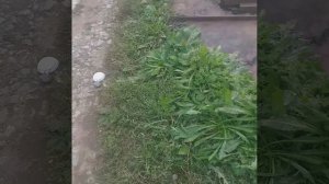 Где взять счастье в нашей безумной гонки выживания