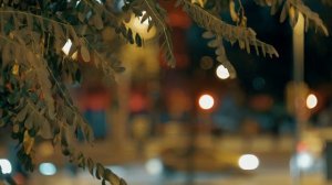 Вздохнуть не в силах в ритме городском...