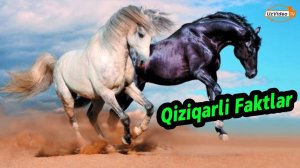 Hayvonlar haqida Qiziqarli Faktlar - Qurbaqa tishlashi, Otlar, To’tiqushlar, Mushuk va Kuchuklar !!!