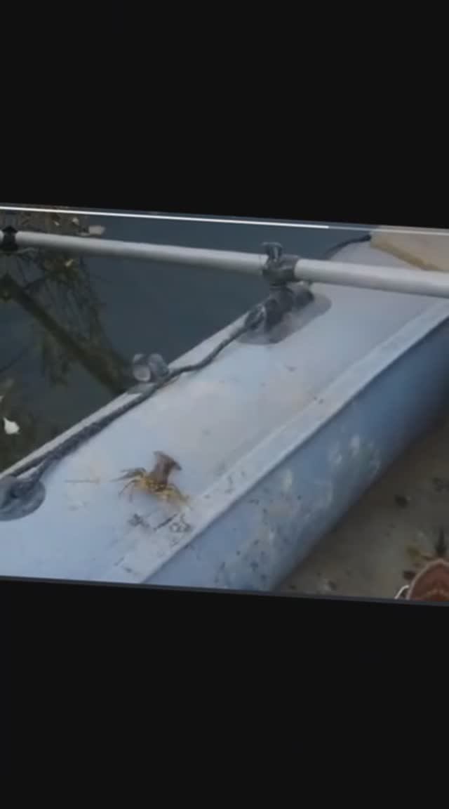 Где раки зимуют