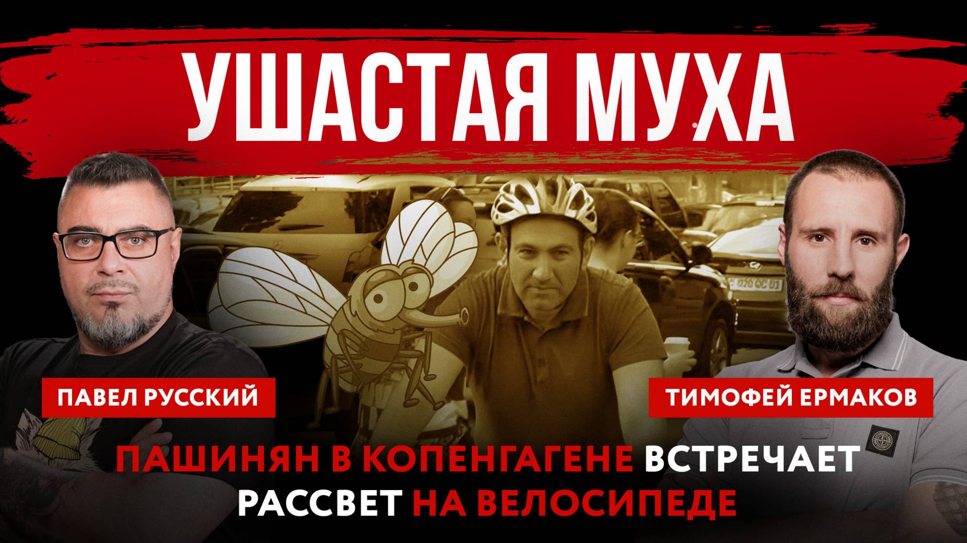 Ушастая муха. Пашинян в Копенгагене встречает рассвет на велосипеде