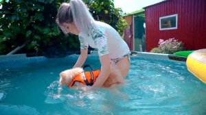 СОБАКА УЧИТСЯ ПЛАВАТЬ В БОЛЬШОМ БАССЕЙНЕ ВПЕРВЫЕ - ШПИЦ ЭЛИС КУПАЕТСЯ В ОГРОМНОМ БАССЕЙНЕ