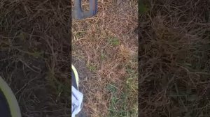 это велосипед