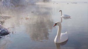 Это хрустальные вздохи зимы_1