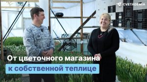 Бизнес на тюльпанах в теплице площадью 64 кв.м.