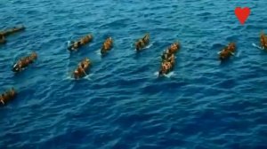 Lakota dream song__The_Last