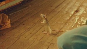 Премьера детского детектива «Любопытная Варвара 2»