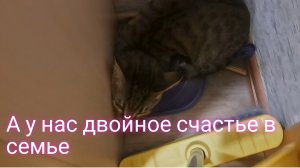 А у нас двойное счастье в семье