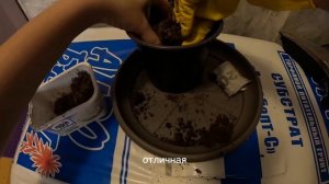 Неинтересное видео про пересадку перца