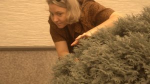 Видеообзор на мультфильм "Тафити. Приключения на краю света" (реж. Нина Вельс)