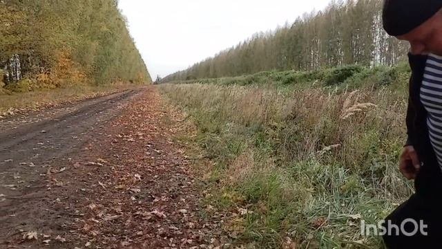 Что случилось в деревне /чп/как живут в русской деревне