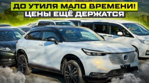 Авто из Японии до утиля : цены держатся, но недолго!