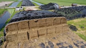 ЭМ силос в Нидерландах