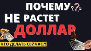 Когда вырастет курс доллара? Почему сильный рубль опасен? Что делать с валютой?