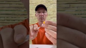 Новый инструмент для бойлов: распаковка и тест на рыбалке