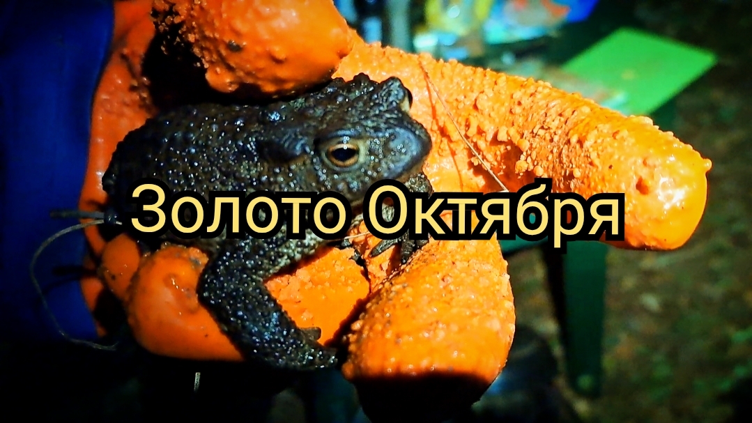 Золото Октября