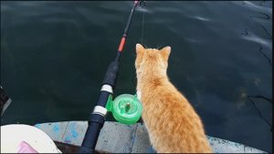 Порыбачили, можно и поесть!