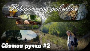 Святые Источники ПВД