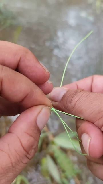 Супер классный рыболоыны узел, вяжем к поводку вертлюжок или карабин