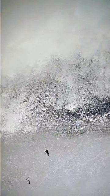 природа смотреть онлайн