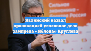 Явлинский назвал провокацией уголовное дело зампреда «Яблока» Круглова