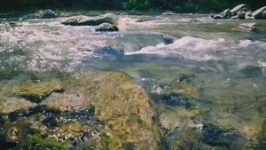 Музыка & Релакс | Шум журчания воды.
