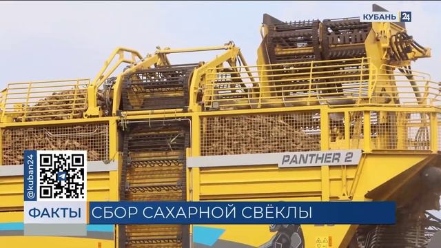 Минсельхоз опроверг сообщения о дефиците сахарной свеклы в РФ