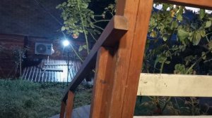 СОЧИ ГОРНОЕ ЛОО УТРО 03.10.2025