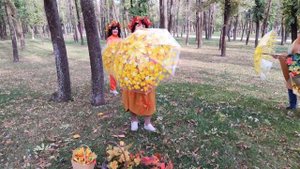 🍁 Осень 🍂 за окном 03.10.25.