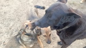 Херсонщина 3 октября 2025 года (новости)