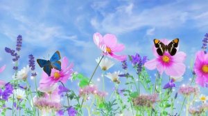 "Наша маленькая Пари"