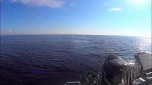 выходной на онежском озере
