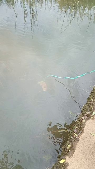 На рыбалку, как в детстве смотреть онлайн