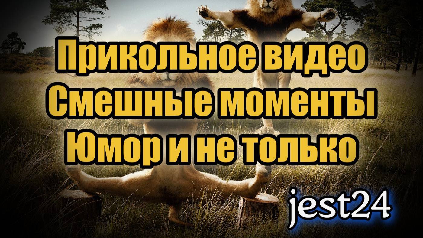 Прикольное видео / Смешные моменты / Юмор и не только