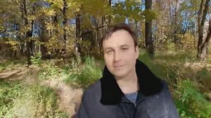 "Облетевший тополь серебрист и светел"- Владислав Косарев