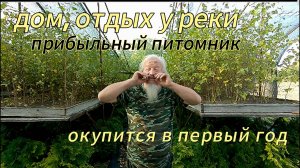 Питомник, дом, речка и баня