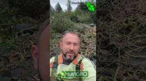 ЭТИ РАБОТЫ НИКОМУ НЕ НУЖНЫ! Лишние работы в саду осенью. Не занимайтесь ерундой - поберегите силы!