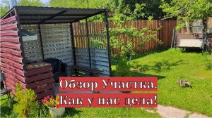 Даченька #95  Обзор участка, как у нас дела!!!