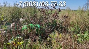 Гибрид на гусеничном ходу