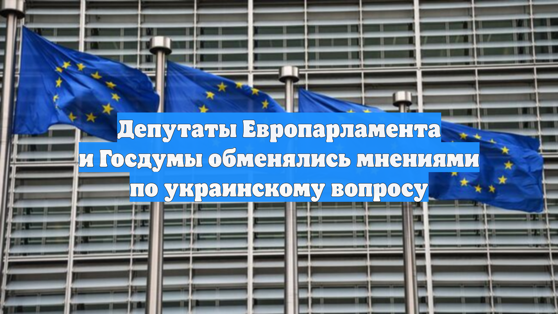Депутаты Европарламента и Госдумы обменялись мнениями по украинскому вопросу