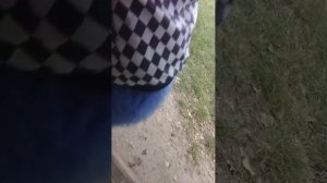 видос