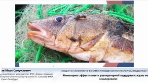 Мониторинг эффективности респираторной поддержки Данилов М.С.