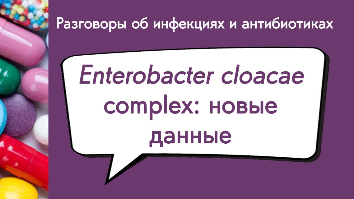 Enterobacter cloacae complex: новые данные