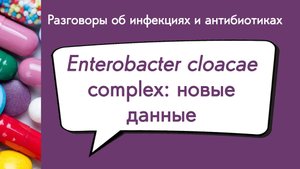 Enterobacter cloacae complex: новые данные