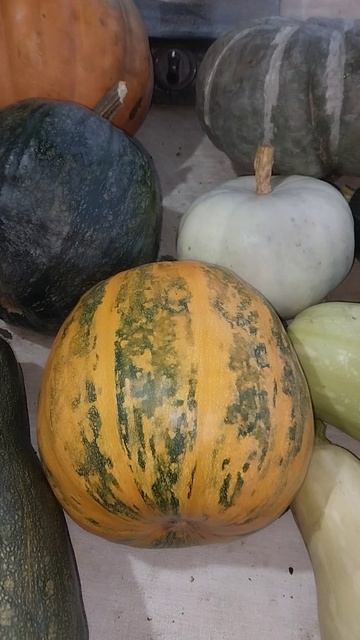 Дары природы :) смотреть онлайн